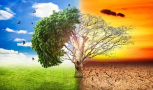 Thế nào là thiện, thế nào là ác?